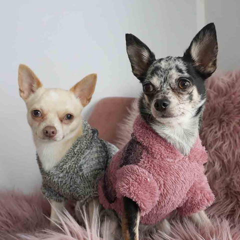 Clothes for Chihuahuas - Dog Hoodies - Dog Winter Clothes - Fitwarm