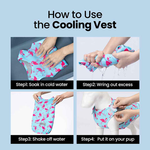 How to use a dog cooling vest