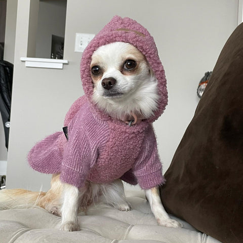 Fuzzy Hoodie Dog Dress