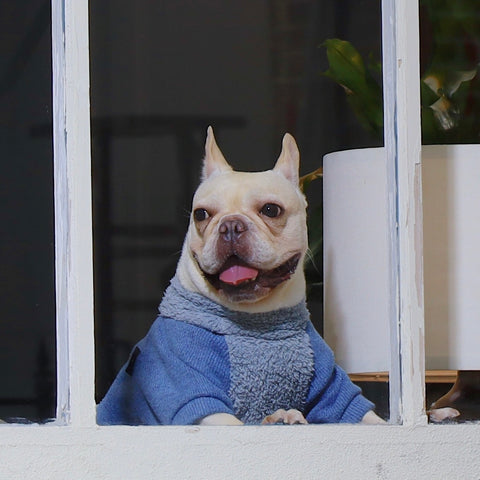 Rollkragen-Fuzzy-Pullover-Pyjama für Hunde mit Füßen