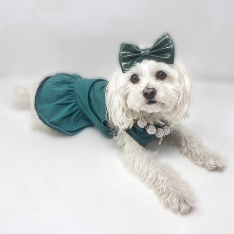 Maltipoo in a Cute Dog Dress - Fitwarm Dog Clothes