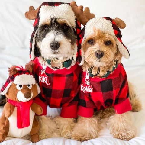 Maltipoo in red plaid hoodies - Fitwarm Dog Clothes