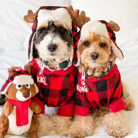 Dog Christmas Pajamas - Dog Christmas Outfit - Fitwarm
