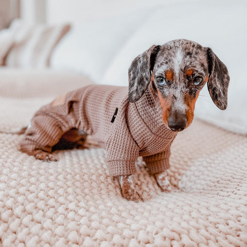 Rollkragen-Strickpyjama für Hunde mit Füßen
