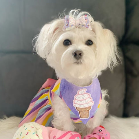 Morkie in a Pink Dog Dress with Stripes - Fitwarm Dog Clothes