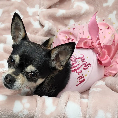 Birthday Girl dog tutu dress