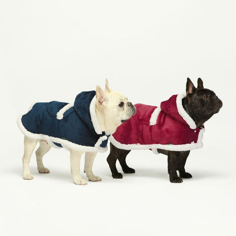 French Bulldogs in Flannel Hooded Blanket Coats