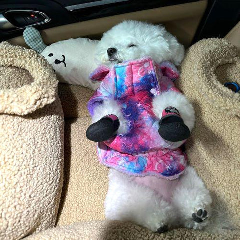 Dog Coat - Dog Winter Clothes - Fitwarm