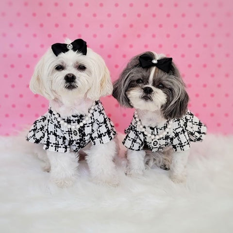 Shichons in White and Black Plaid Dog Dress - Fitwarm Dog Clothes