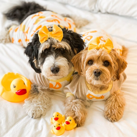 Pijama de pato para perros con patas
