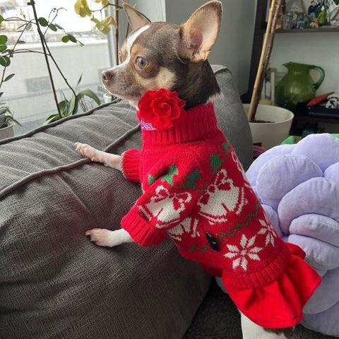 Clothes for Chihuahuas - Dog Christmas Dress - Dog Christmas Outfit - Fitwarm