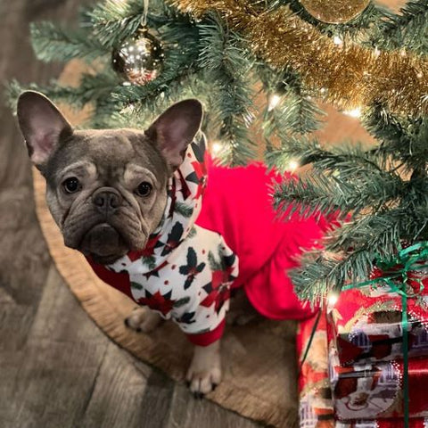 French Bulldog Clothes - Dog Christmas Outfit - Fitwarm