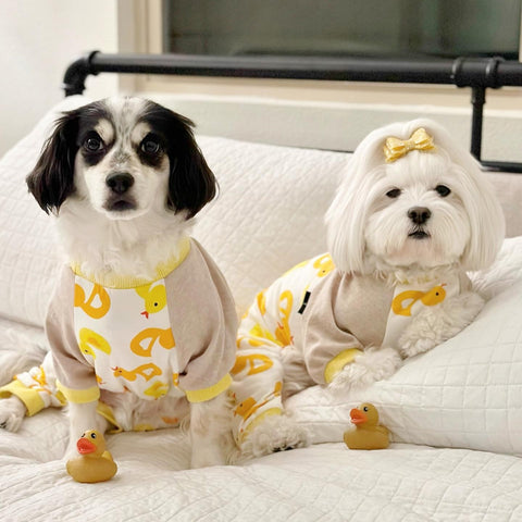 Cute dogs in cotton ducky pajamas