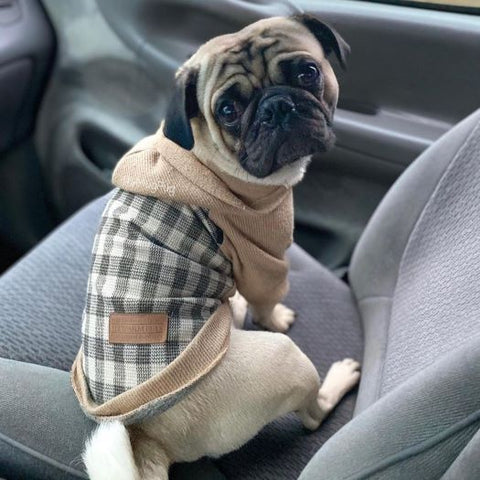 Pug in a Plaid Dog Hoodie