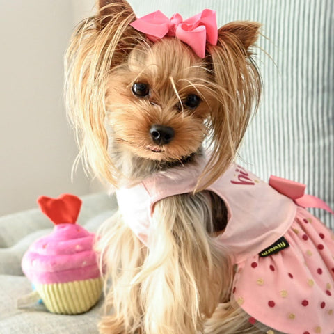 Birthday Girl dog tutu dress