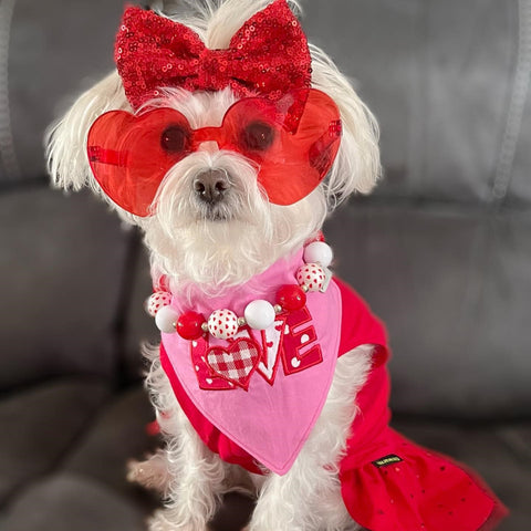 Paquete de 2 vestidos de tutú para perros Valentine XOXO
