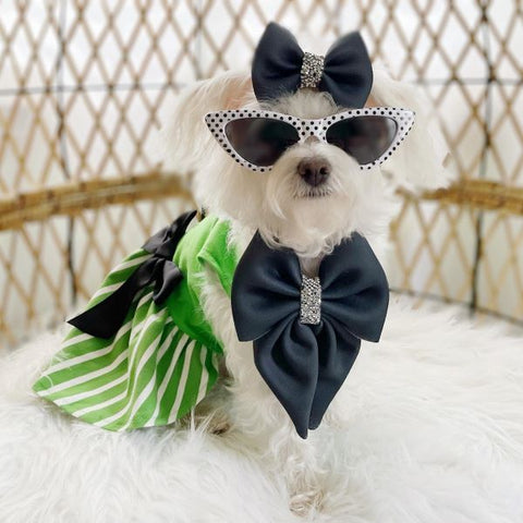 Morkie in a Charming Green Dog Dress with Bowknot - Fitwarm Dog Clothes