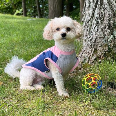 Dog in a Pink UV Sun Protection Dog Shirt - Fitwarm Dog Clothes