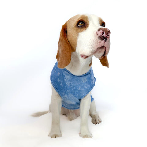 Beagle in 80s tie dye t-shirt