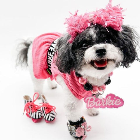 Maltipoo in a Hot Pink Dog Dress - Fitwarm Dog Clothes