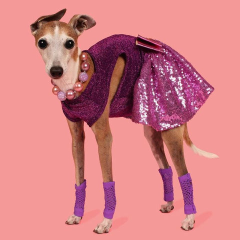 Italian Greyhound Dog Clothes - Dog Sparkly Sequin Dress - Fitwarm