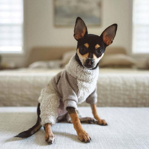 Min Pin Dog Clothes - Dog Fuzzy Turtleneck Pajamas - Fitwarm