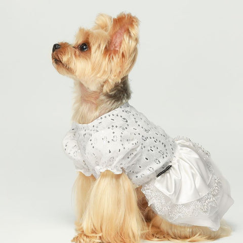 Yorkie in an Elegant Dog Pearl Wedding Dress