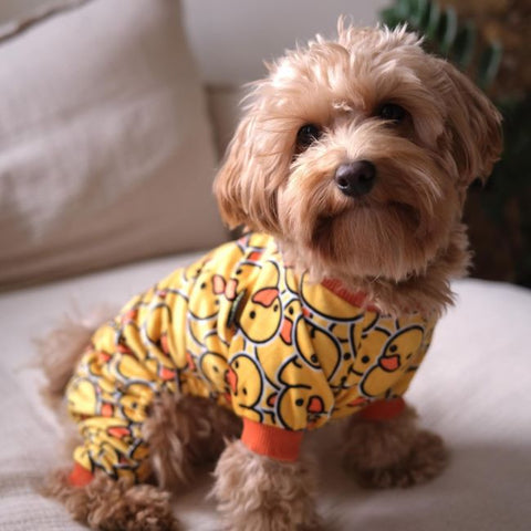 Cute Funny Rubber Duck Dog Pajamas