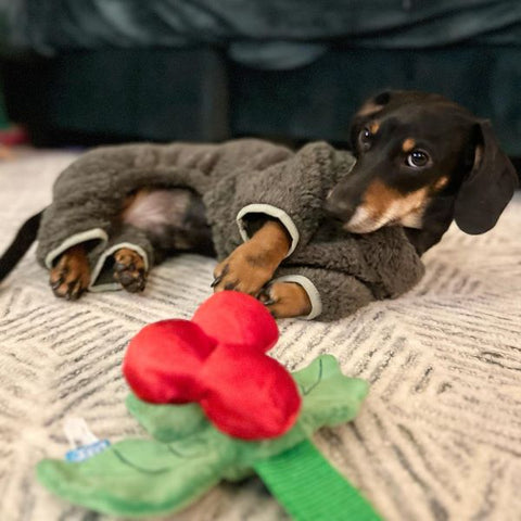 Fuzzy Velvet Dog Pajamas