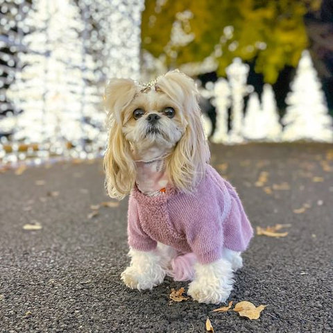 Fuzzy Hoodie Dog Dress