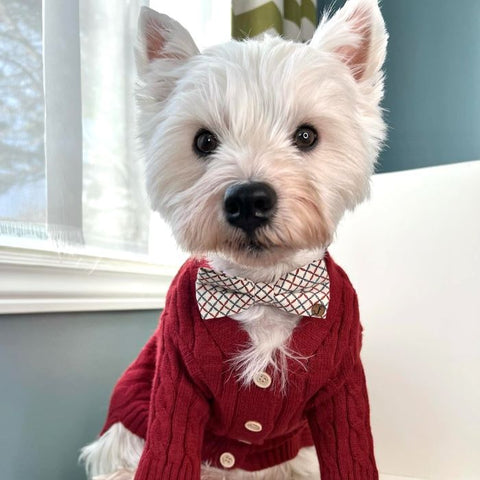 Dog Christmas Outfit - Dog Christmas Sweater - Fitwarm