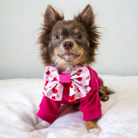 Long Haired Chihuahua in a Pink Cozy Turtleneck Dog Sweater - Fitwarm Dog Clothes