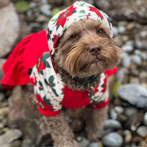 Dog Hoodie - Dog Christmas Outfit - Fitwarm