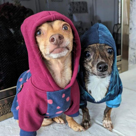 Dog Winter Clothes- Fitwarm