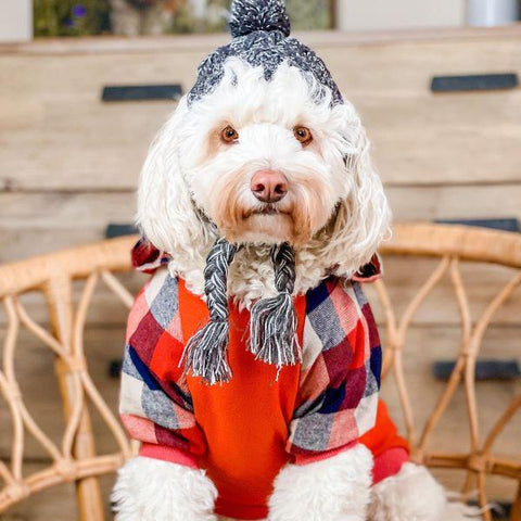 Dog Hoodies - Dog Winter Clothes - Fitwarm