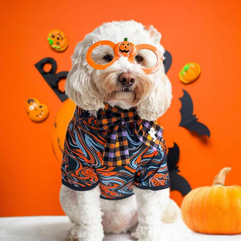 Cavapoo in cute dog shirt