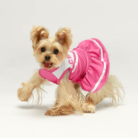 Yorkie in dog cheerleader costume
