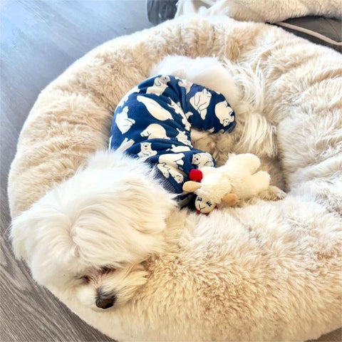 Maltese Sleeping in Fleece Dog Pajamas with Polar Bear Prints