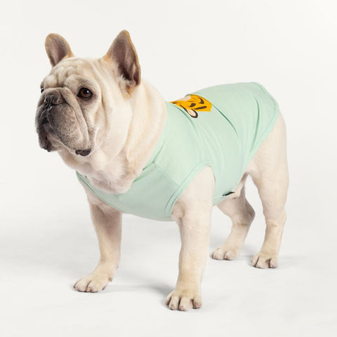 Frenchie in a Cute Summer Dog Cloth with Tiger Print - Fitwarm Dog Clothes