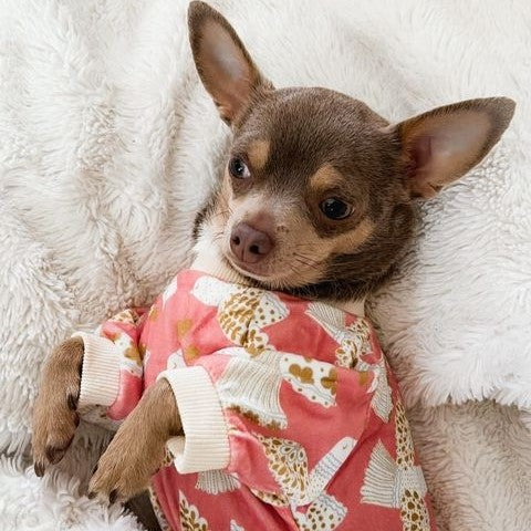 Chihuahua in a Cute Peace Dove Dog Pajamas - Fitwarm Dog Clothes