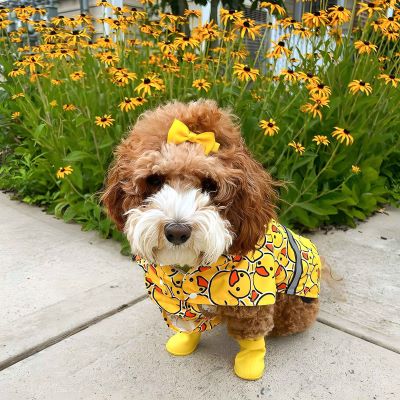 Dog Raincoat