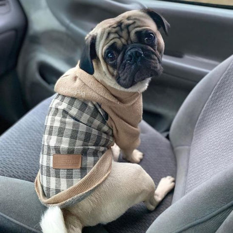 Pug in a Plaid Sweater Dog Hoodie