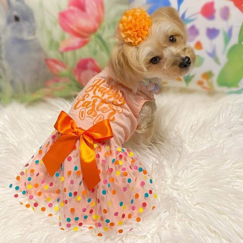 Morkie in Easter Dog Dress with Polka Dot - Fitwarm Dog Clothes