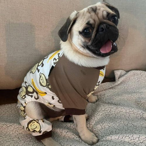 Pug in a Cute Dog Pajamas with Monkey Patterns - Fitwarm Dog Clothes