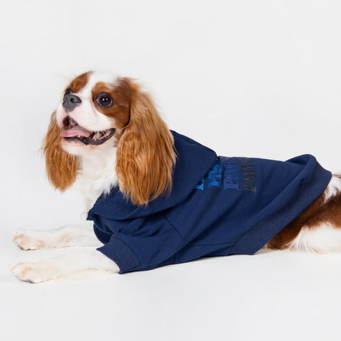 Cavalier King Charles Spaniel in Blue Dog Hoodie with Pawsome Lettering - Fitwarm Dog Clothes