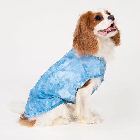 Dog Cooling Vest with Ice Prints for Cavalier King Charles Spaniel - Fitwarm Dog Clothes