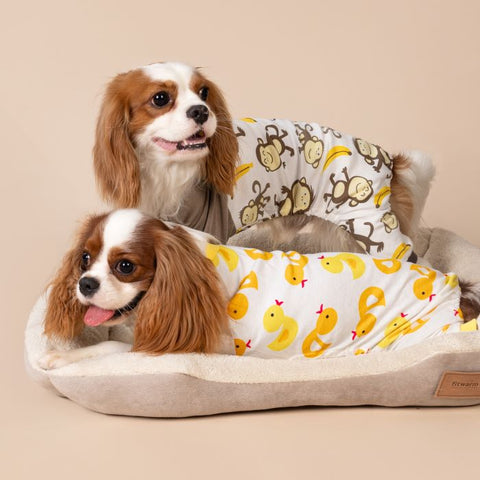 Monkey and Duck Dog Pajamas for Cavalier King Charles Spaniel - Fitwarm Dog Clothes