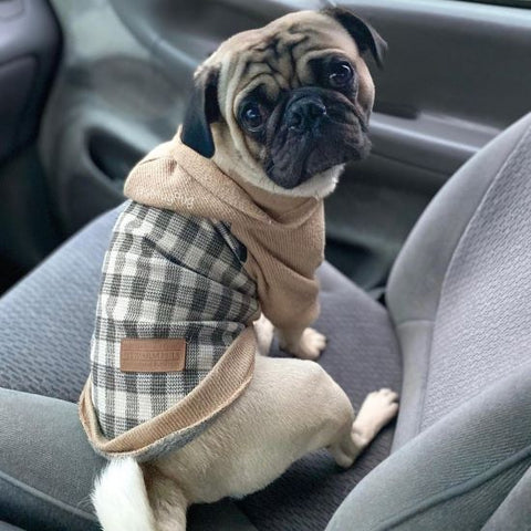 Orange Plaid Dog Hoodie