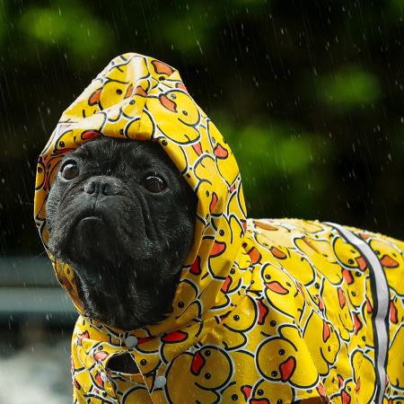 Rubber Duck Dog Raincoat