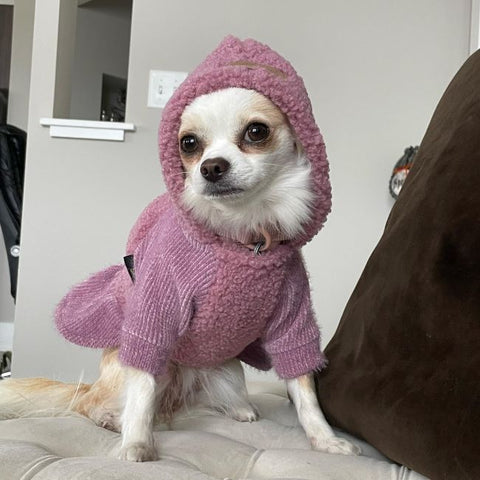 Fuzzy Hoodie Dog Dress